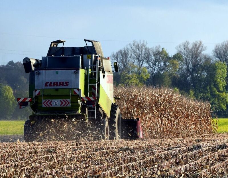 Corn harvest - by ulleo via Pixabay